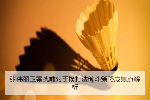 张伟丽卫冕战前对手换打法缠斗策略成焦点解析